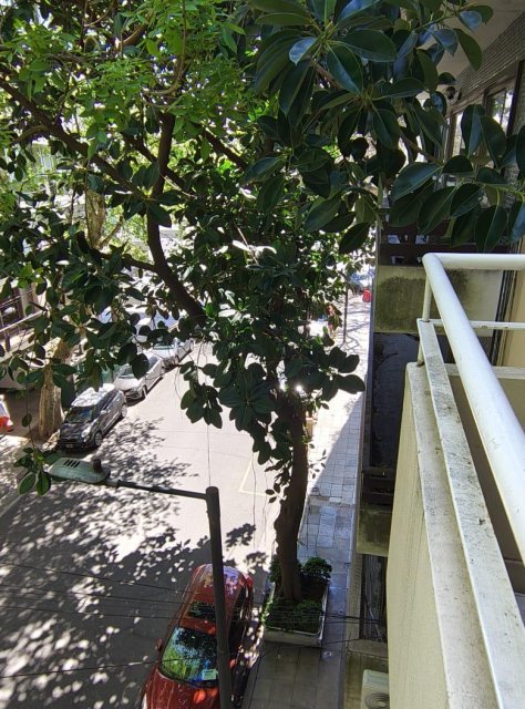 Lafinur 3300 Palermo Departamento 4  ambientes  En Venta -13